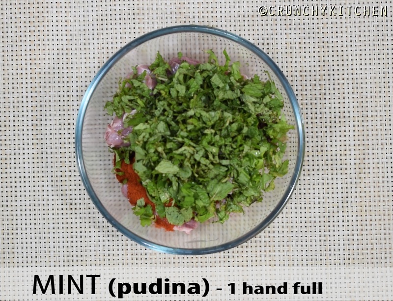 mint pudhina