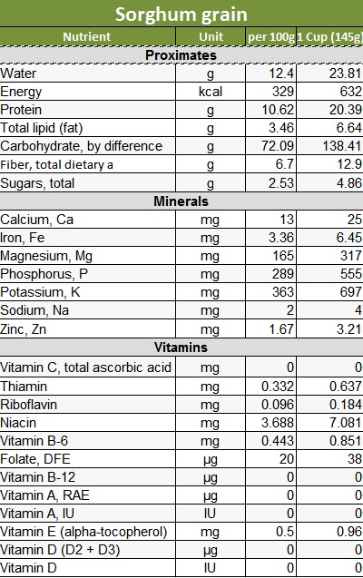 Sorghum grain