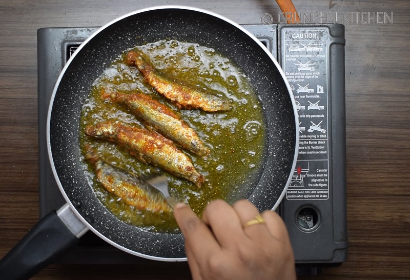 Mathi FishTawa Fry 
