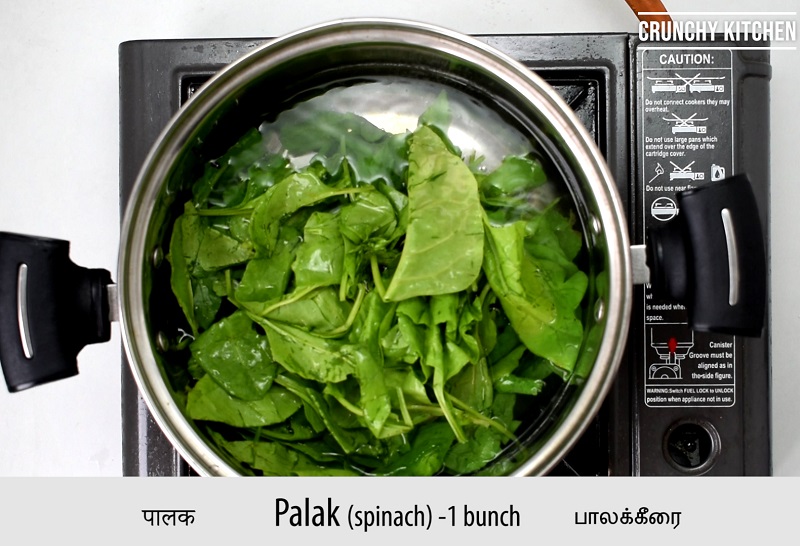 Palak paneer 