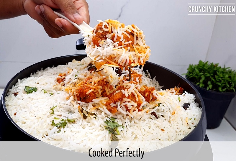 dum biryani